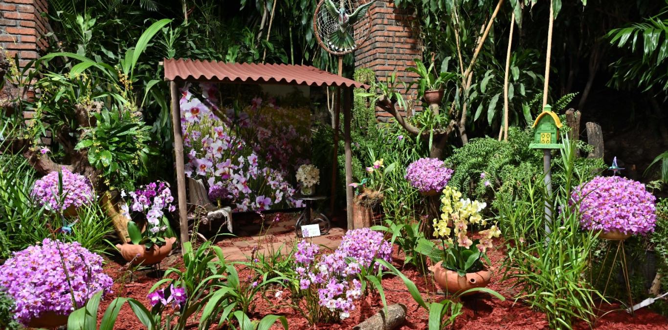 INICIÓ CALIORQUÍDEAS 2025