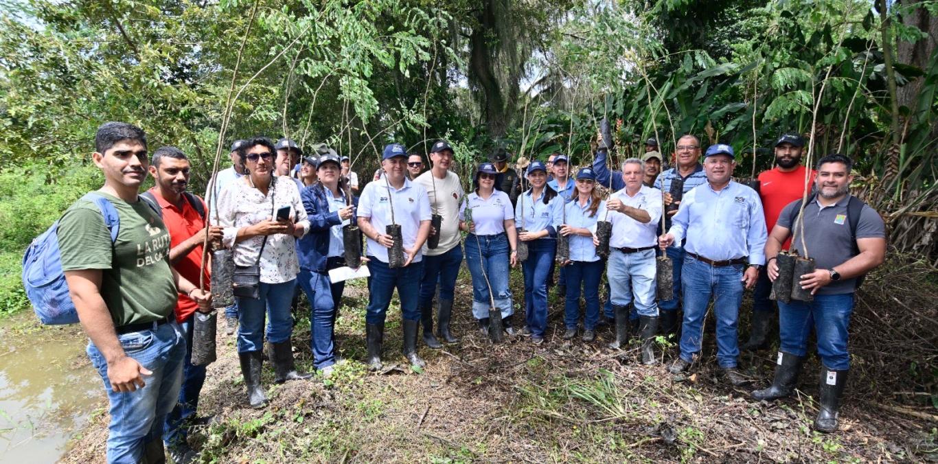 LA CVC Y LA COMUNIDAD DE ANDALUCÍA SEMBRARON 3.000 ÁRBOLES, POR UN VALLE MÁS VERDE