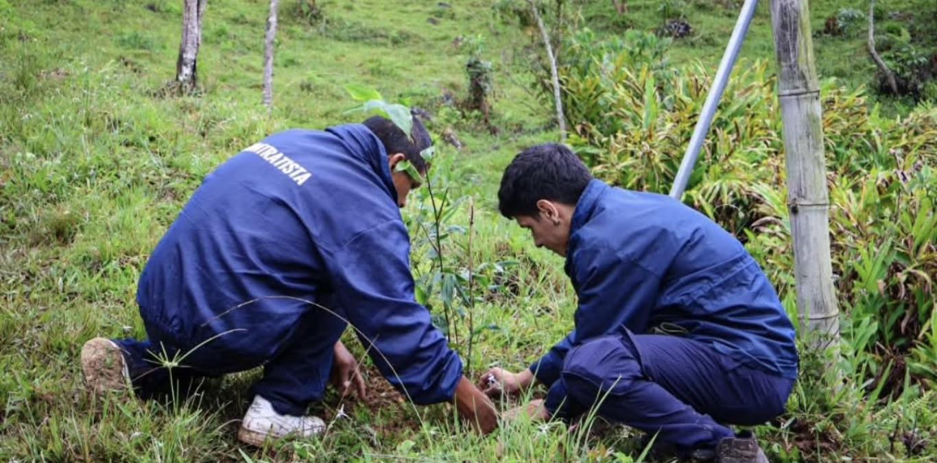 CADA ÁRBOL, UNA PROMESA. MÁS DE 7.500 FUERON SEMBRADOS EN EL CENTRO DEL VALLE