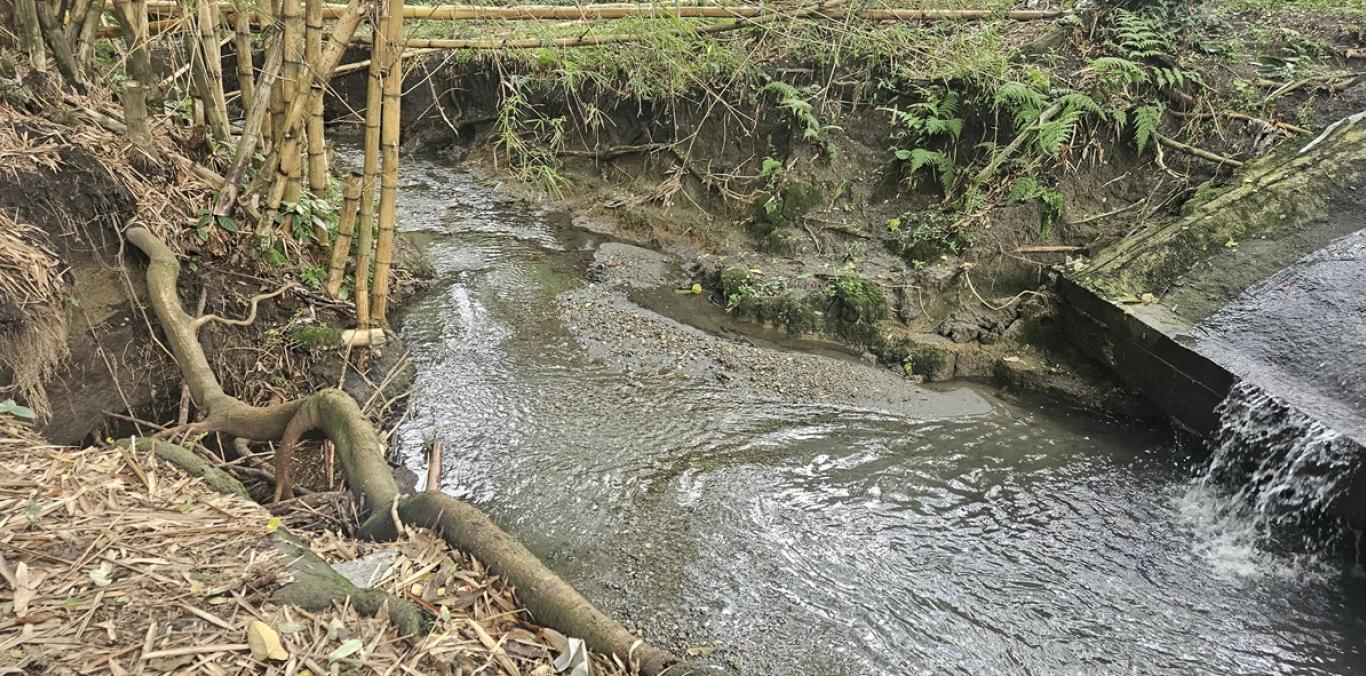 PALMIRA CUENTA CON UN MANANTIAL DE AGUA SUBTERRÁNEA: ASI LO REVELA UN INFORME DE LA CVC    