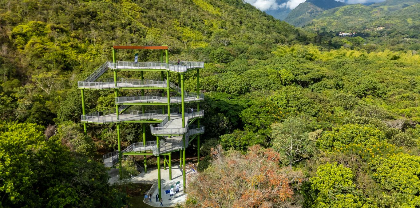 2025: EL AÑO EN QUE NUEVAMENTE LA GESTIÓN AMBIENTAL DE LA CVC DEJÓ HUELLA EN EL VALLE DEL CAUCA