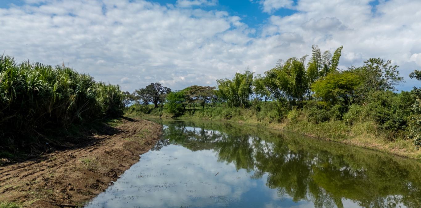 CVC HIZO LIMPIEZA MANUAL Y MECÁNICA A TRES HUMEDALES DE BOCAS DEL PALO