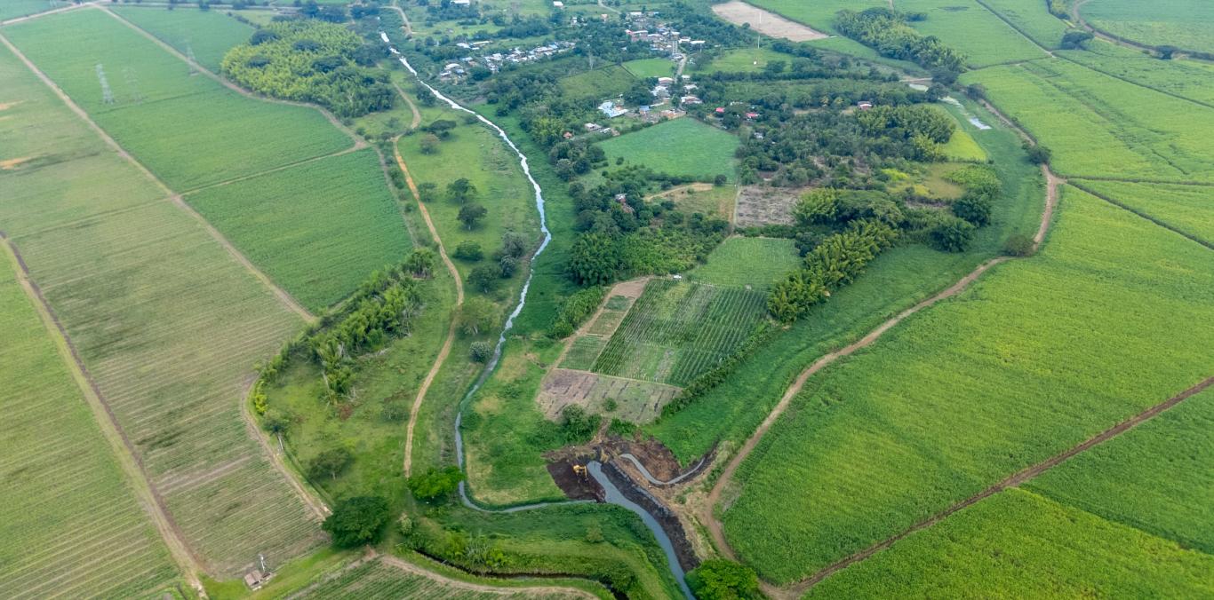 COMUNIDAD, CVC Y ASOCAÑA SE UNEN PARA LA RECUPERACIÓN DEL HUMEDAL EL ESTERO