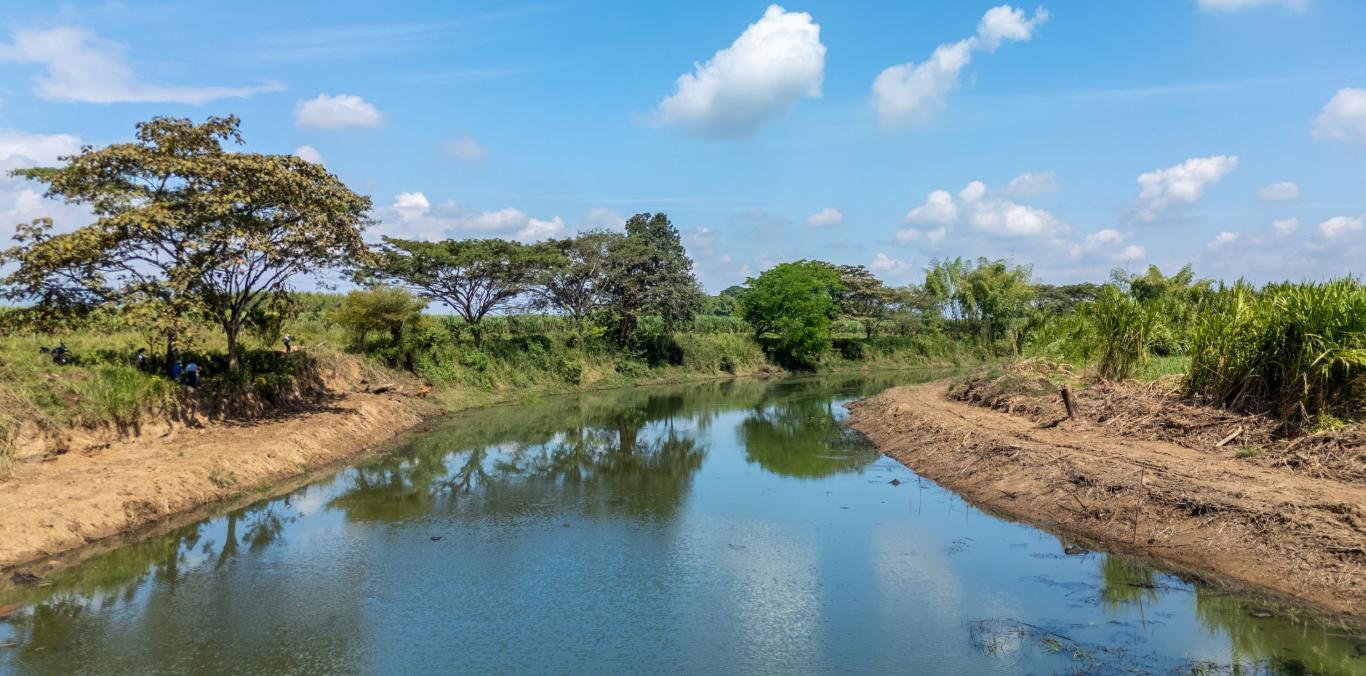 LA CVC INVIRTIÓ $1.700 MILLONES EN LA RECUPERACIÓN Y MANTENIMIENTO DE 23 HUMEDALES 