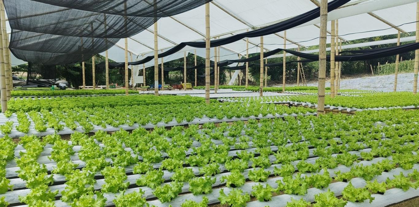LA CVC IMPULSA LA EFICIENCIA ENERGÉTICA CON LA ENTREGA DE PANELES SOLARES