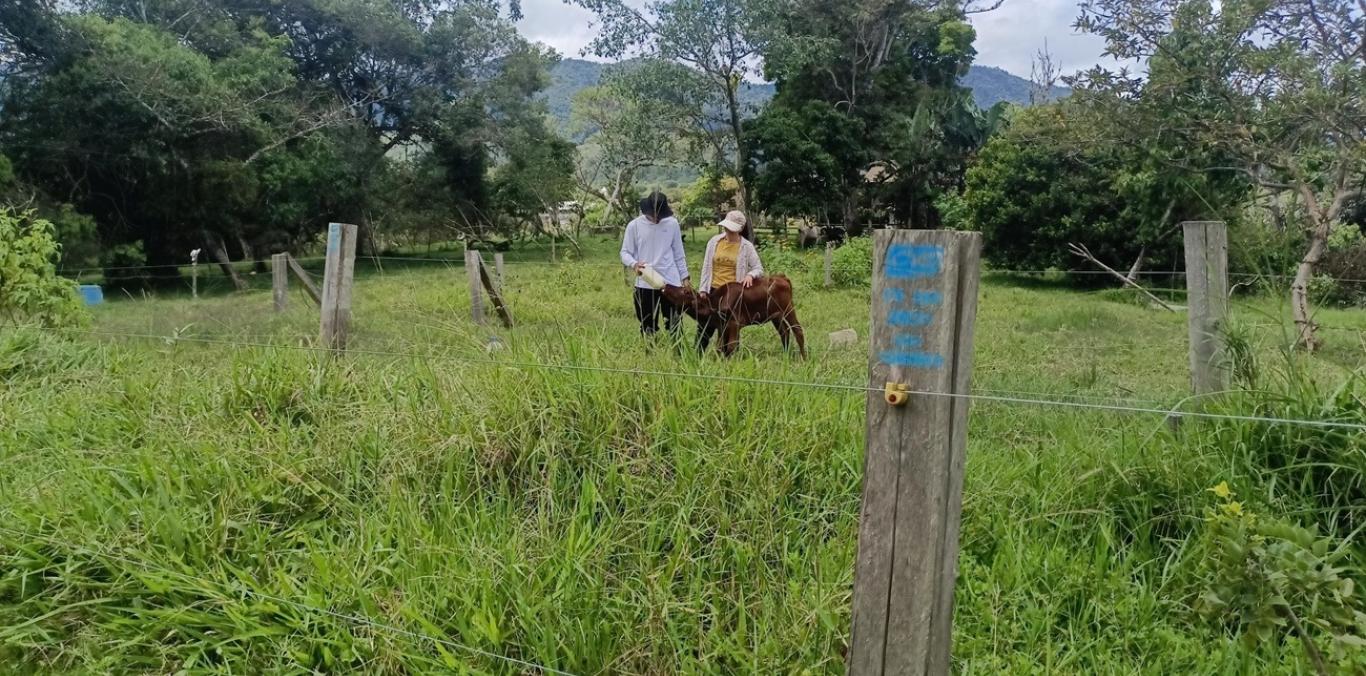 TRABAJOS EN PREDIOS AFECTADOS POR ATAQUE DE FELINOS APUESTAN POR LA COEXISTENCIA