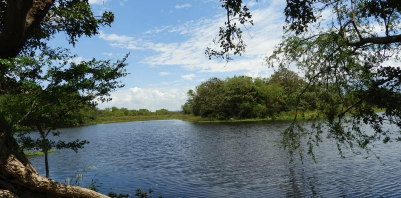 MONITOREO TÉCNICO PARA LA PROTECCION DE SUS SERVICIOS ECOSISTEMICOS