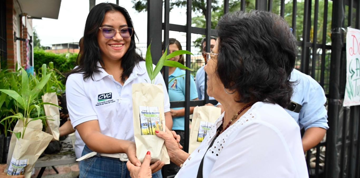150.000 PLÁNTULAS VIVAS FUERON ENTREGADAS EN LAS PARROQUIAS DEL VALLE DEL CAUCA
