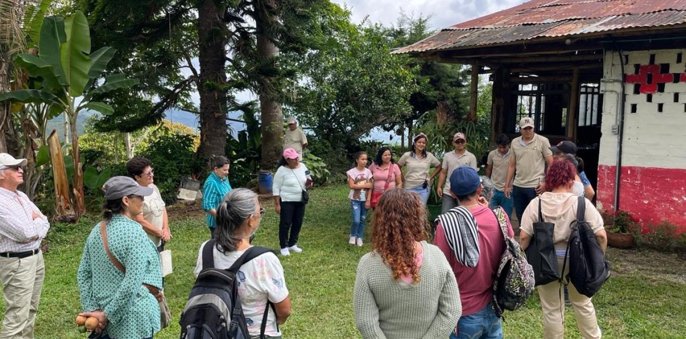 EN SEVILLA, JÓVENES FORTALECEN PROCESOS DE CONSERVACIÓN DE LA RANA RUBÍ