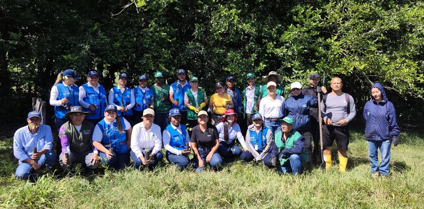 CVC Y COMUNIDAD CELEBRARON EL DÍA DE LA TIERRA, CON LA SIEMBRA DE MÁS DE 500 ÁRBOLES EN ZARZAL