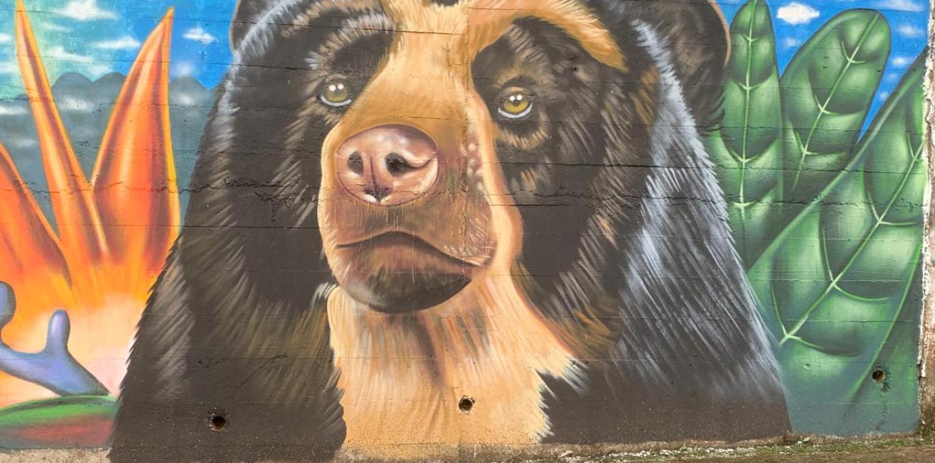 EL ÁGUILA VIVIÓ EL PRIMER FESTIVAL DEL OSO ANDINO