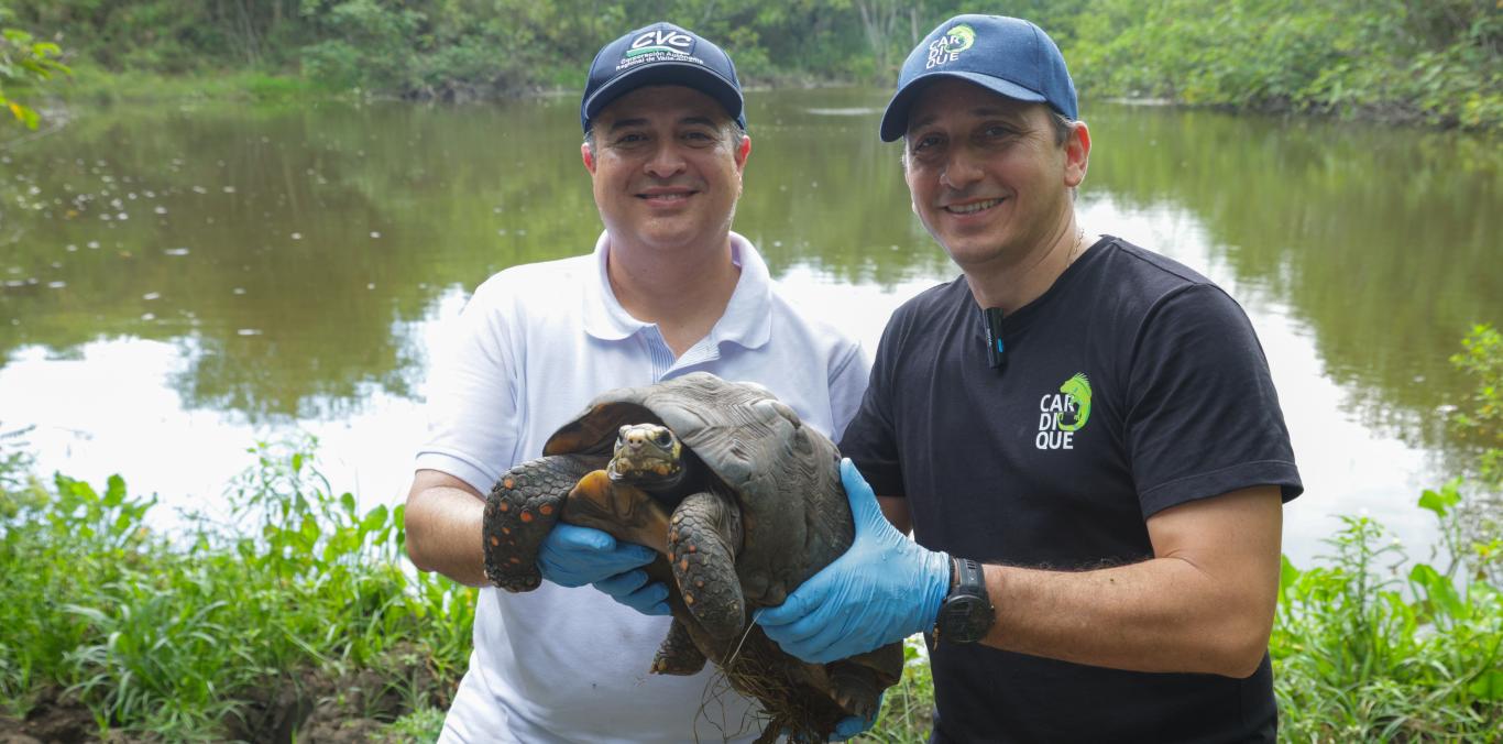 429 ANIMALES SILVESTRES VUELVEN A LA LIBERTAD EN GRAN JORNADA DE CONSERVACIÓN EN BOLÍVAR
