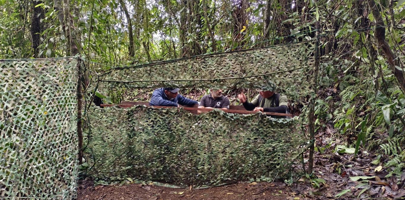 SUEE BIRDING: EL REFUGIO DE AVES QUE UNE A DOS MUNICIPIOS DEL VALLE DEL CAUCA