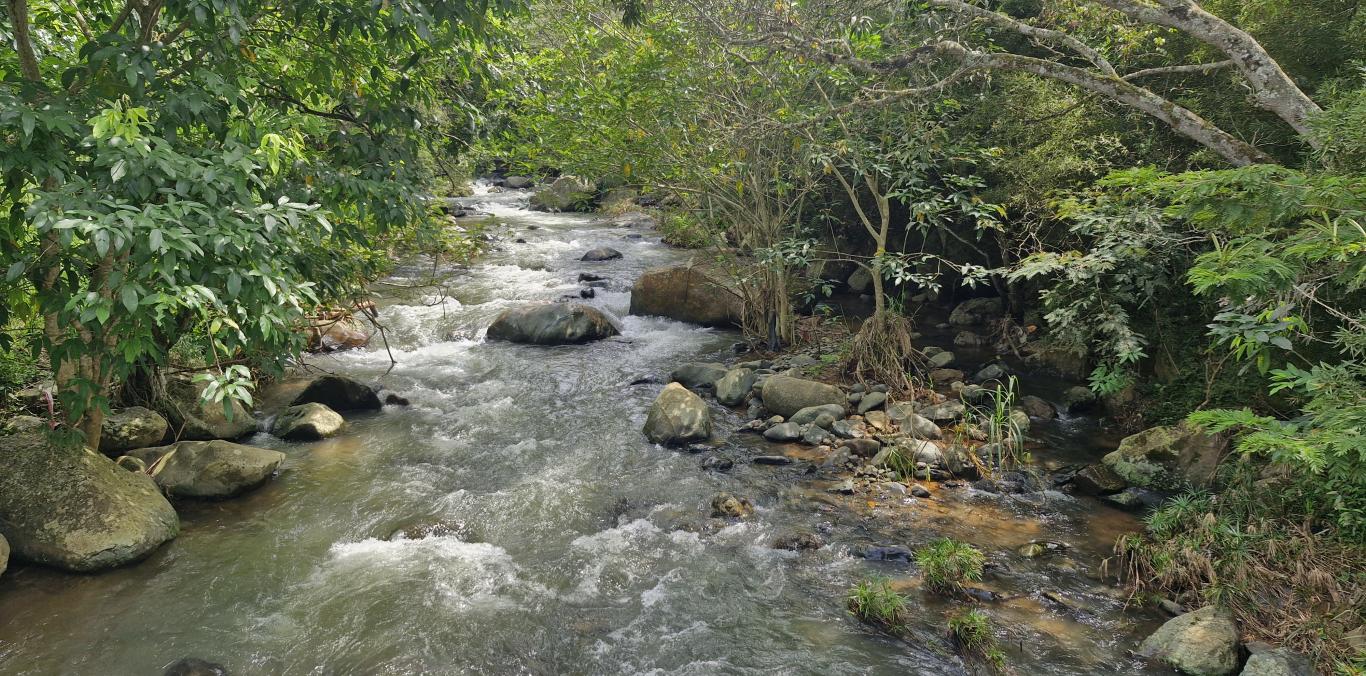 LA CVC INVITA A PARTICIPAR EN LOS CONSEJOS DE CUENCA QUE AYUDAN A PROTEGER EL AGUA
