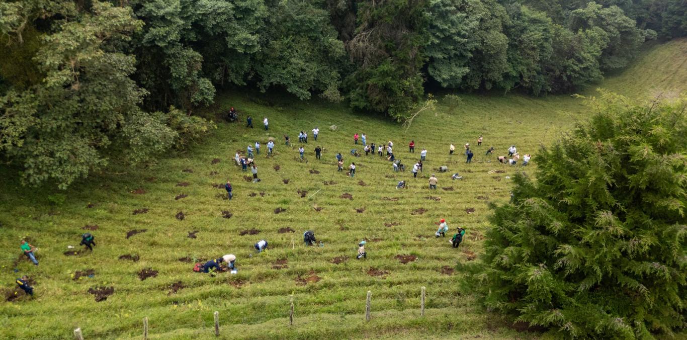 VALLE DEL CAUCA, PIONERO EN COLOMBIA EN LA IMPLEMENTACIÓN DE LA LEY DE ÁREAS DE VIDA