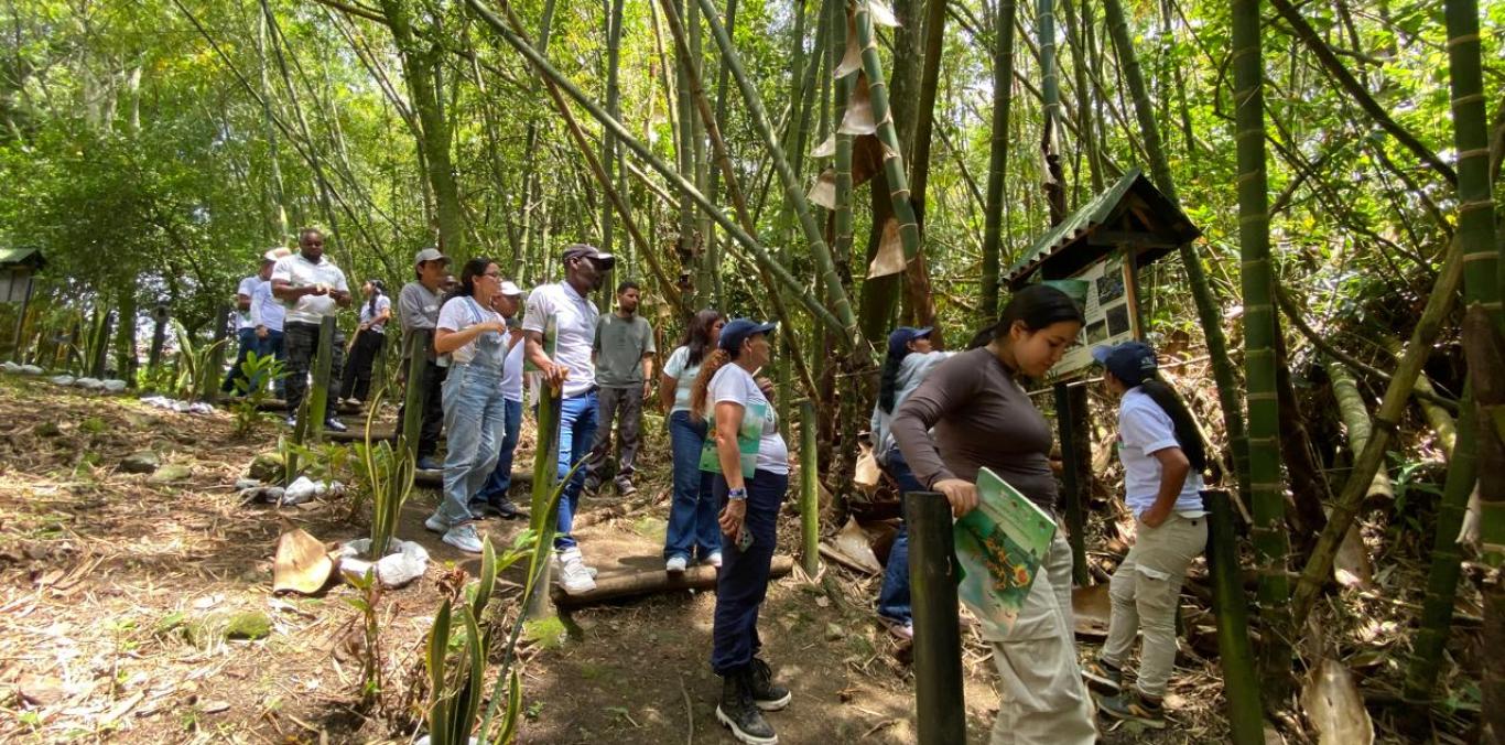 MÁS DE 5.200 PERSONAS SE HAN BENEFICIADO EN EL VALLE DEL CAUCA
