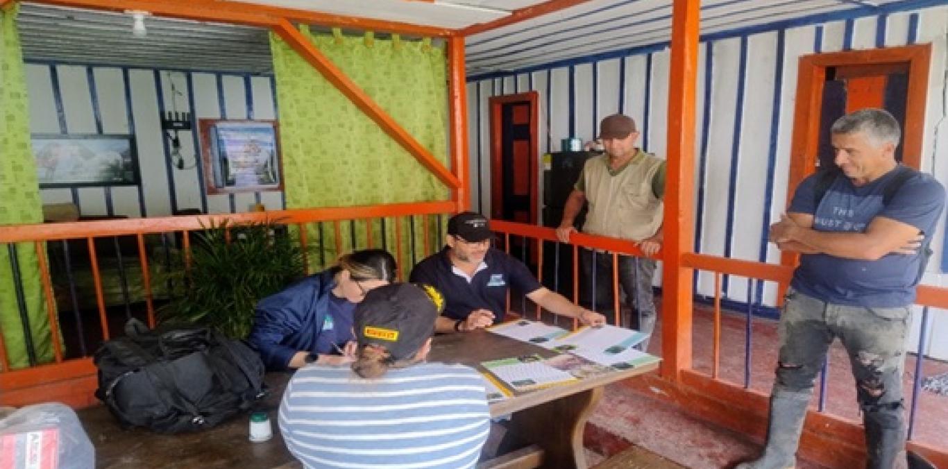 AVISTAMIENTO DE GRANDES FELINOS EN EL NORTE DEL VALLE NO DEBE PROPICIAR ATAQUES SOBRE ELLOS