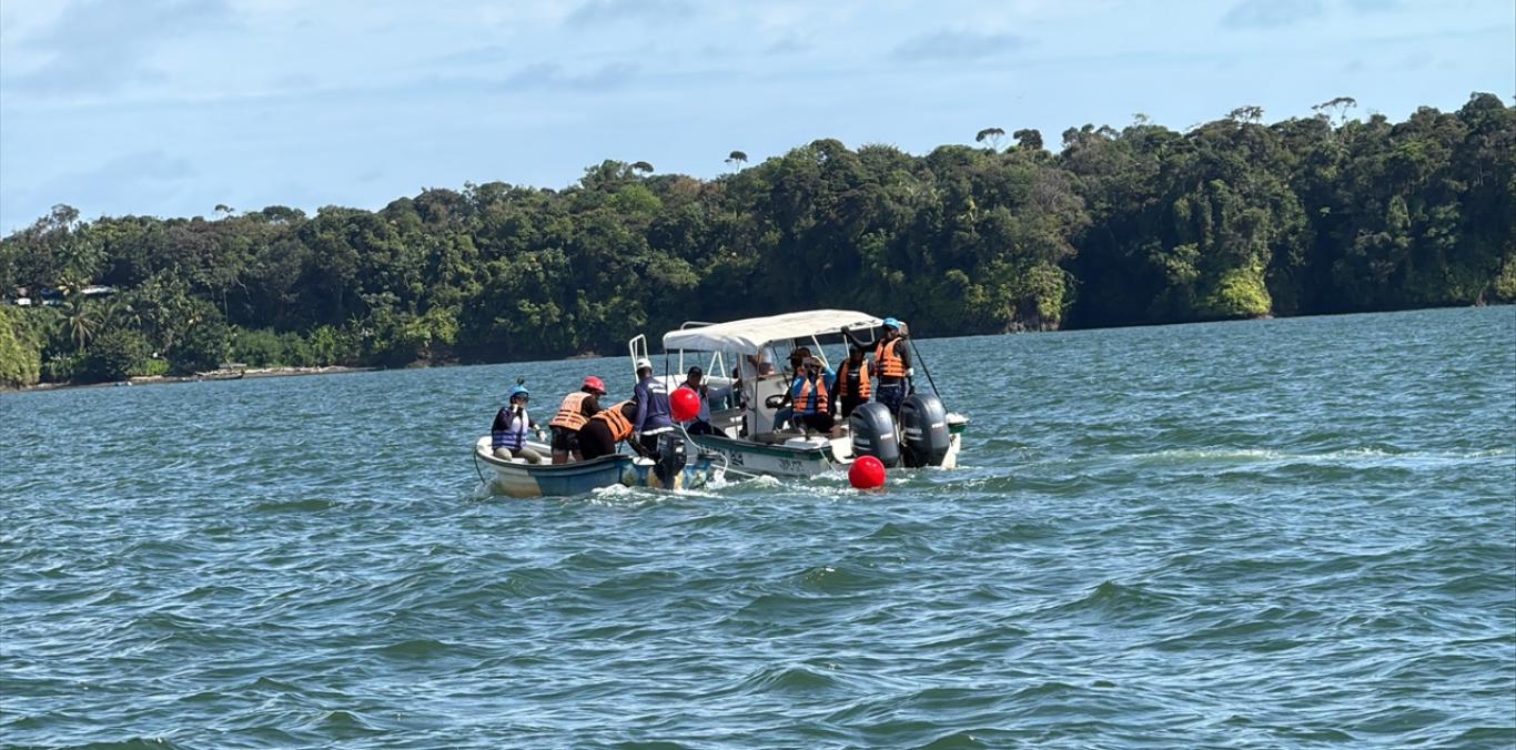 AL RESCATE DE BALLENAS, DELFINES, TORTUGAS MARINAS Y TIBURONES BALLENA