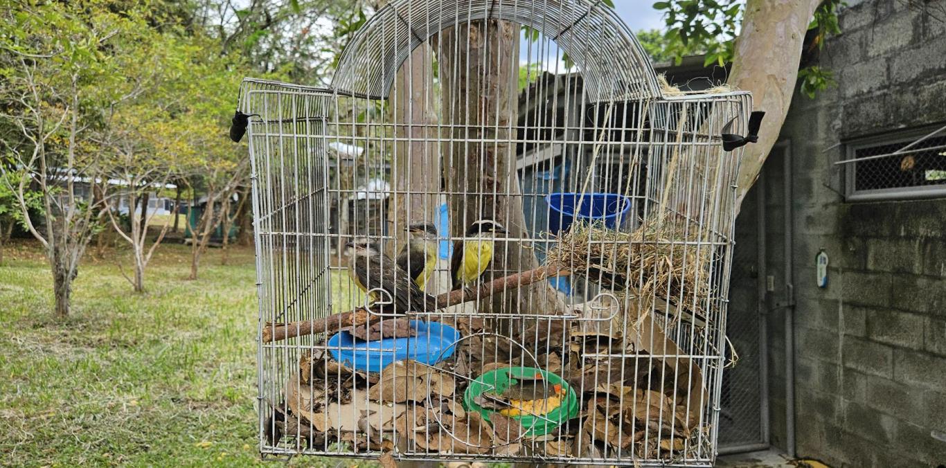 “LAS JAULAS SE MOVÍAN, LOS ANIMALES SE ALERTARON… FUE ANGUSTIANTE”