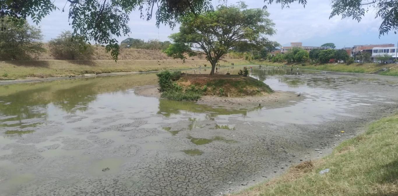 LAGUNAS DE MANZANARES, EN CANDELARIA, REGULAN AGUAS LLUVIAS Y NO SON HUMEDALES: CVC HACE LLAMADO A NO INTERVENIRLAS