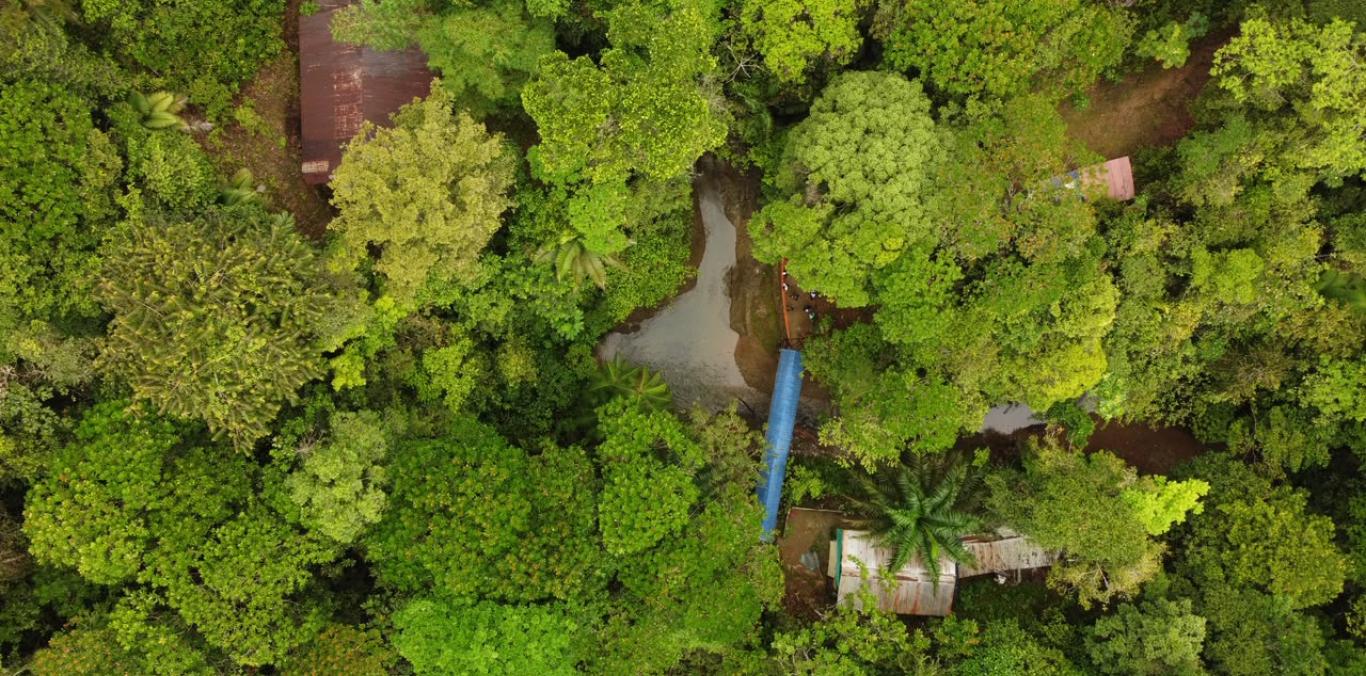 MÁS DE 2.500 HECTÁREAS SE SUMAN A LAS ÁREAS PROTEGIDAS DEL VALLE DEL CAUCA