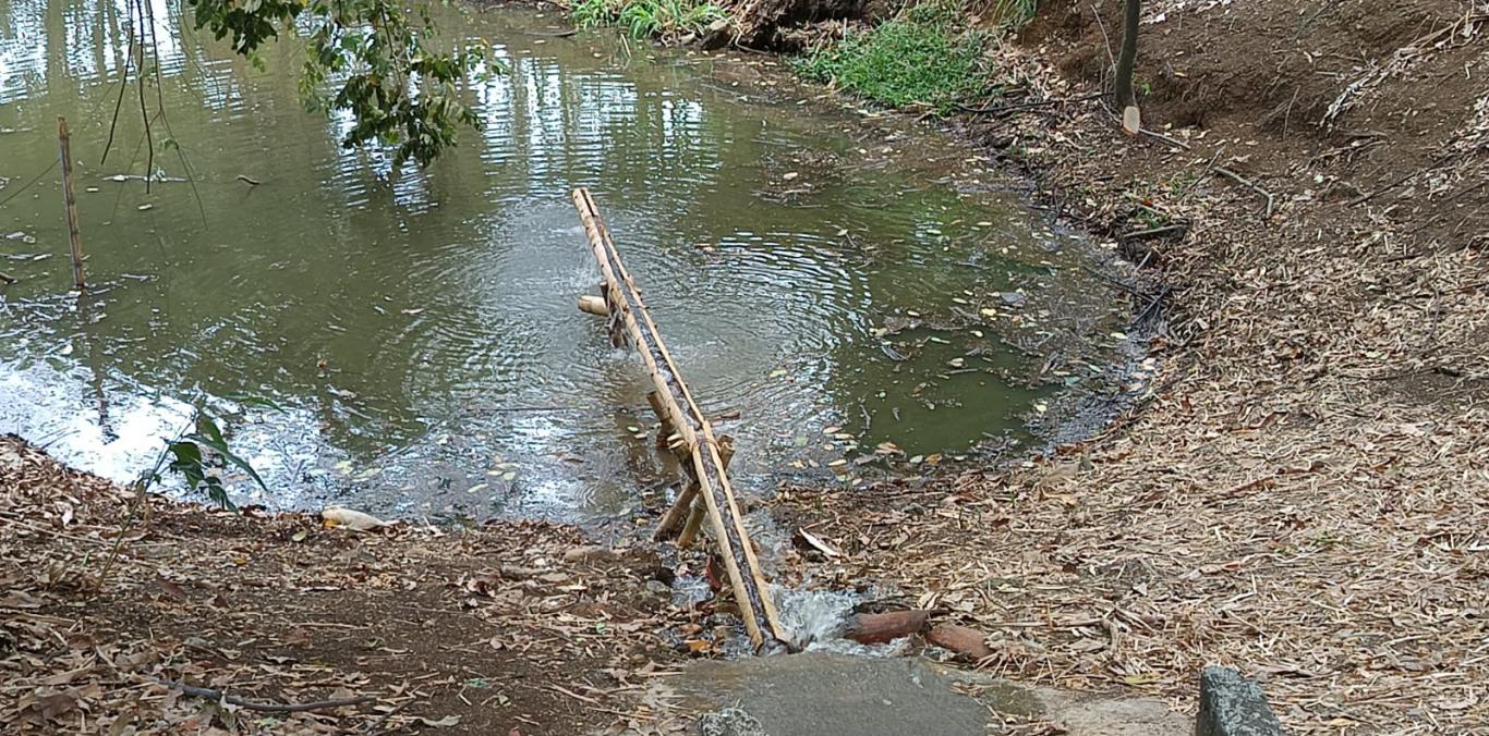 44.000 LITROS DE AGUA ALIVIARON LA SEQUÍA DEL HUMEDAL EL LIMONAR EN CALI