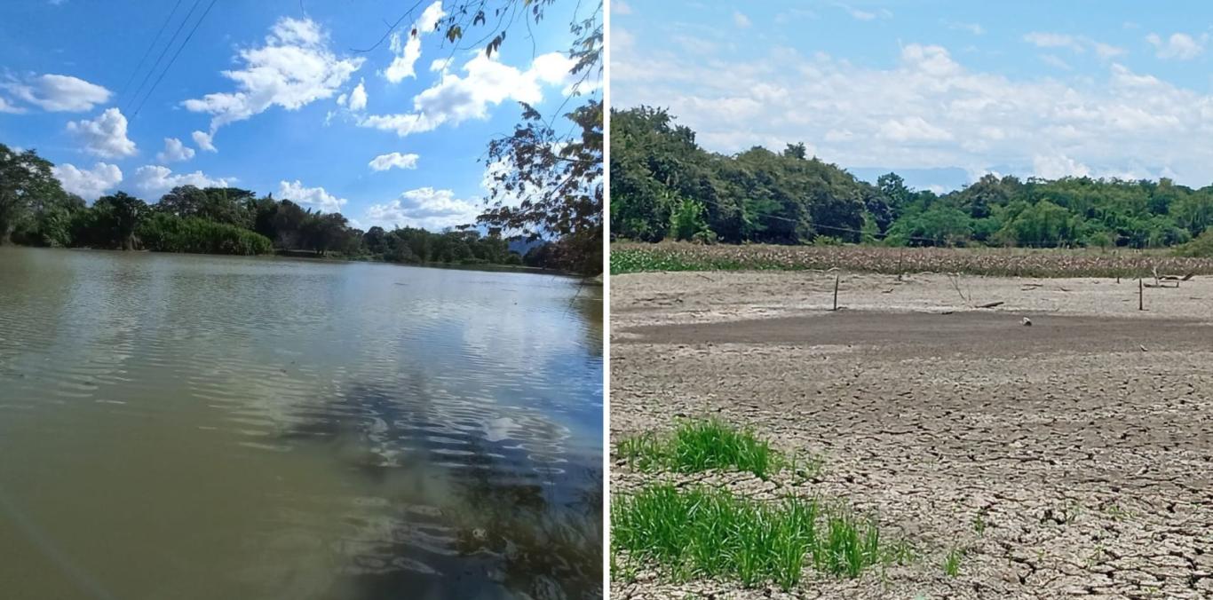 HUMEDALES GUARE, LA HERRADURA Y SANTA ANA PRESENTAN BAJOS NIVELES DE AGUA