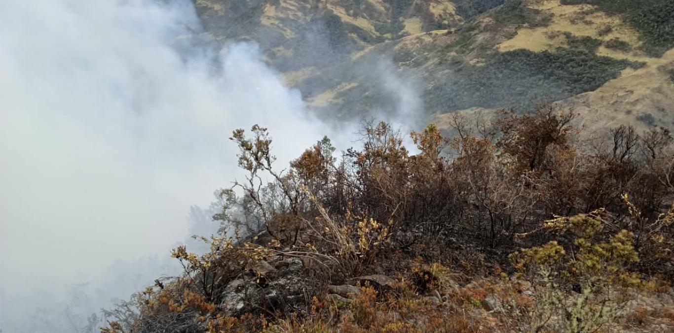 DOS MESES DE LLAMAS EN ZONA RURAL DE BUGA. LA BATALLA NO DA TREGUA