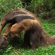 Centro de Educación Ambiental Embalse de Guacas CVC