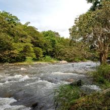 EL DISTRITO REGIONAL DE MANEJO INTEGRADO, DRMI, DE PANCE NO EXPROPIARÁ PREDIOS