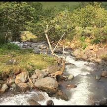 PROTEGEN UN PREDIO DENOMINADO PATRIMONIO AMBIENTAL EN TRUJILLO