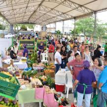 LA GRAN VITRINA VERDE ENAMORÓ A CALI