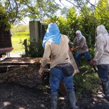 LA POLICÍA AMBIENTAL DE CARTAGO SUSPENDIÓ UNA QUEMA ILEGAL DE CARBÓN VEGETAL EN ANSERMANUEVO 
