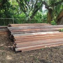 CVC DECOMISA 456 VARAS DE MANGLE Y ABRE PROCESO SANCIONATORIO