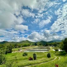 MÁS ALLÁ DEL AULA: ESTUDIANTES DE UNICAUCA APRENDEN EN LABORATORIO DE LA CVC