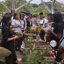 PROYECTO AMBIENTAL ESCOLAR EN DAGUA TRANSFORMA RESIDUOS EN OPORTUNIDADES SOSTENIBLES
