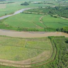 SE HAN RESTAURADO 150 HECTÁREAS DE FRANJAS FORESTALES PROTECTORAS DEL RÍO CAUCA