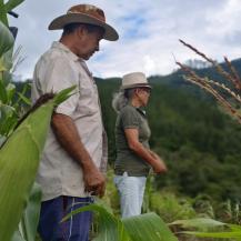 DEL CAMPO A LA MESA: CVC IMPULSA LA SOSTENIBILIDAD ALIMENTARIA EN VIJES