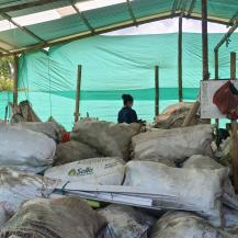 JÓVENES DE DAGUA TRANSFORMAN EL RECICLAJE EN UNA FUENTE DE VIDA Y PROGRESO
