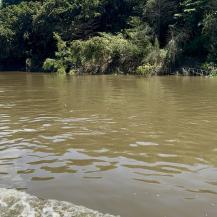 EL RÍO CAUCA NOS HABLA. CONOCE LA TRAVESÍA PARA ESCUCHARLO Y PROTEGERLO