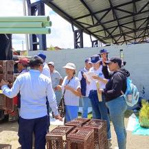 50 FAMILIAS CAMPESINAS DE DAGUA RECIBIERON INSUMOS DE SEGURIDAD ALIMENTARIA