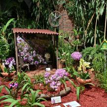 INICIÓ CALIORQUÍDEAS 2025