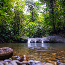 CELEBRA CON NOSOTROS UNA DE LAS MÁS EXITOSAS ESTRATEGIAS DE CONSERVACIÓN