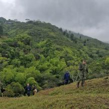 300 ÁRBOLES SE SEMBRARON EN LA CUENCA DEL RÍO CALI