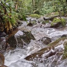 5 ACUEDUCTOS RURALES DE YOTOCO BUSCAN LEGALIZARSE CON LA CVC