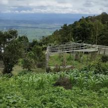 FINCA EL MILAGRO, EN ROLDANILLO: UN MODELO DE EDUCACIÓN AMBIENTAL Y PRODUCCIÓN SOSTENIBLE DE PUERTAS ABIERTAS