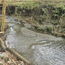 PALMIRA CUENTA CON UN MANANTIAL DE AGUA SUBTERRÁNEA: ASI LO REVELA UN INFORME DE LA CVC    