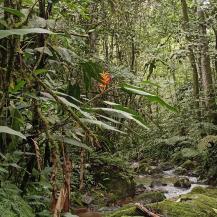 RÍO BITACO BONITO ES EL NUEVO CORREDOR ECOTURÍSTICO QUE IMPULSA LA CONSERVACIÓN EN LA CUMBRE