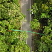 NUEVOS PASOS DE FAUNA SILVESTRE EN EL VALLE PARA DAR VÍA A LA VIDA