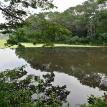 PLATANARES, PROTAGONISTA EN LA CELEBRACIÓN DEL DÍA MUNDIAL DE LOS HUMEDALES